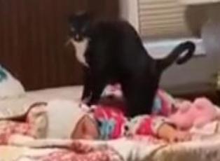 Bebeğe masaj yaparak uyutmaya çalışan kedinin videosu viral oldu!