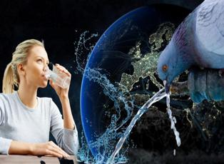 Dünya üzerinde su nasıl oluştu? İçtiğimiz sular nereden geldi?