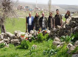 Siirt'te köylüler ters laleler için nöbet tutuyor: Cezası araba fiyatında!