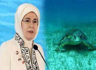 Emine Erdoğan'dan "deniz kaplumbağası" paylaşımı: "Biz korudukça onlar yaşamaya devam edecek"