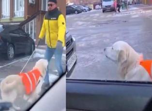 Görme engelli sahibine rehberlik eden köpek duygulandırdı! 