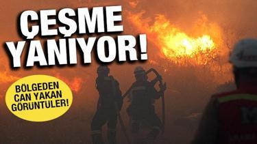 Çeşme'den can yakan görüntüler