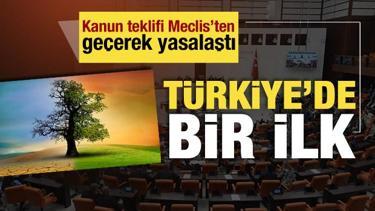 İklim Kanunu Teklifi Meclis'ten geçti