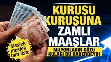Memur ve emekli zam oranı belli oldu: İşte meslek meslek yeni maaşlar! 