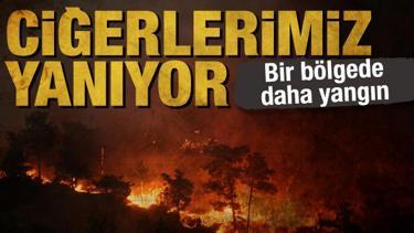 Son dakika: Orman yangınlarında son durum! Hatay'da da yangın çıktı