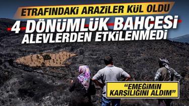 Yangında etrafındaki araziler kül oldu, 4 dönümlük bahçesi alevlerden etkilenmedi!