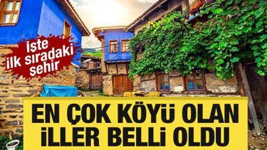 En çok köyü olan iller belli oldu! İşte ilk sıradaki şehir