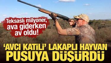 ABD'li milyoner, ava giderken av oldu! "Avcı katili" lakaplı hayvan pusuya düşürdü