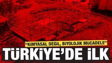 Türkiye’de ilk: ‘Yapay Zeka Destekli Cam Sera Projesi’ ile iki modern cam sera 