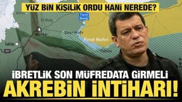 Akrebin kendi kendini zehirlemesi gibi