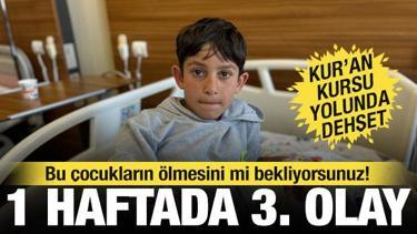 Van'da bir hafta arayla 3'&uuml;nc&uuml; k&ouml;pek saldırısı: Yasa var, uygulayan yok&hellip;