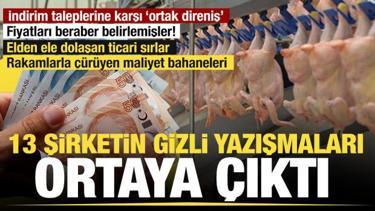 Beyaz et karteline operasyon: Kayyum atanan 13 şirketin gizli yazışmaları raporlarda!