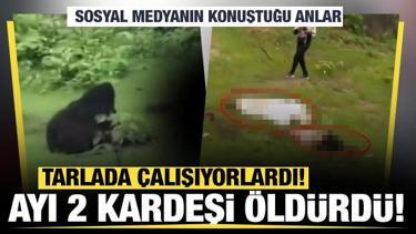 Hindistan'da ayı dehşeti! 2 kişiyi &ouml;ld&uuml;rd&uuml;