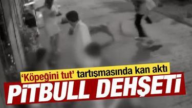 &lsquo;K&ouml;peğini tut&rsquo; uyarısı dehşete d&ouml;n&uuml;şt&uuml;: Pitbull sahibini 3 yerinden bı&ccedil;akladı