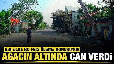 Vietnam'da kesilen ağa&ccedil; motosikletlinin &uuml;zerine devrildi: Bir &ouml;l&uuml;