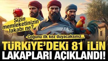 T&uuml;rkiye'deki 81 ilin lakapları a&ccedil;ıklandı! İşte memleketinizin lakabı...
