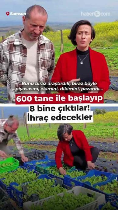 600 tane ile başlayıp 8 bine &ccedil;ıktılar!