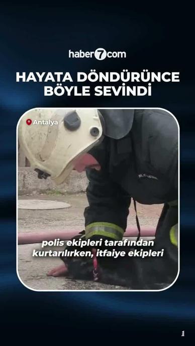 Kediyi kalp masajı ile hayata d&ouml;nd&uuml;rd&uuml;