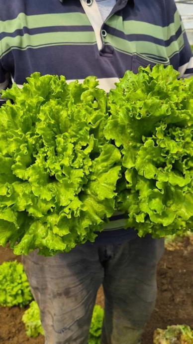 Tarladan alıp 6 katına satıyorlar!