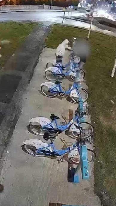 Belediyenin bisikletlerine b&ouml;yle zarar verdiler!