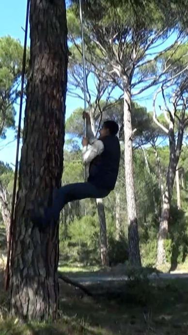 Kazancını duyan ağaca tırmanıyor