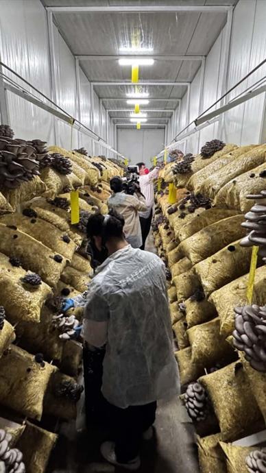 Gen&ccedil; avukat hobiyle başladı tesis kurdu