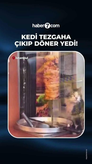 Hijyen kuralları hi&ccedil;e sayıldı.