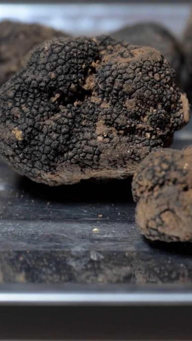 İtalya'dan d&ouml;nd&uuml;, servet sahibi oldu