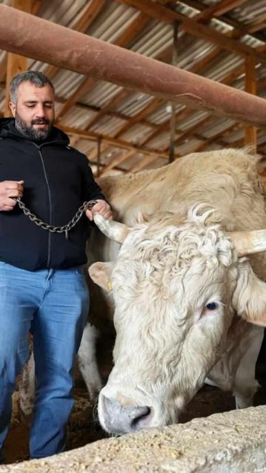 Otomobil parasına satışta!