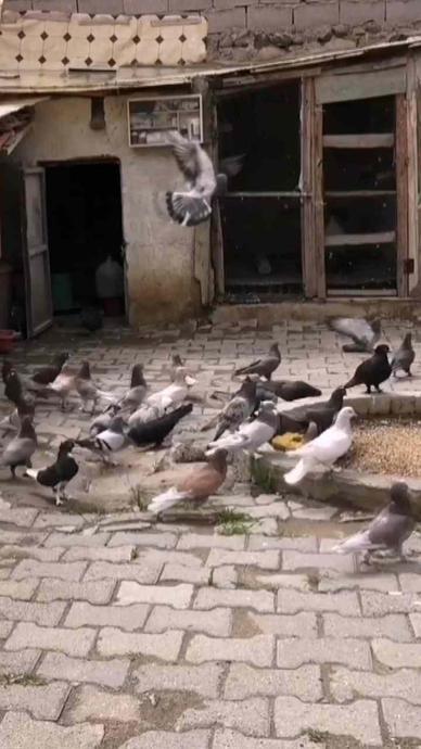 "Futbolcu yetiştirir gibi yetiştiriyoruz!"