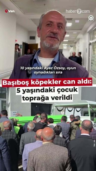 Başıboş k&ouml;pekler can aldı