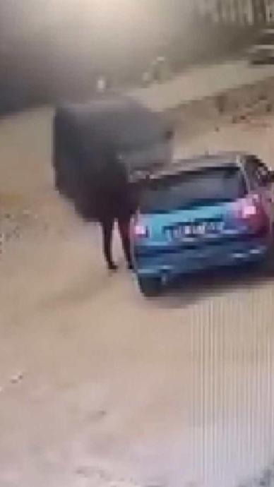 Husumetlisini metrelerce havaya savurdu!