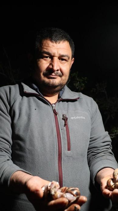 Akşam toplayıp satıyorlar