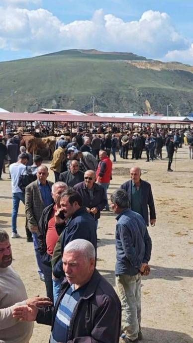 İşte kurban fiyatları!
