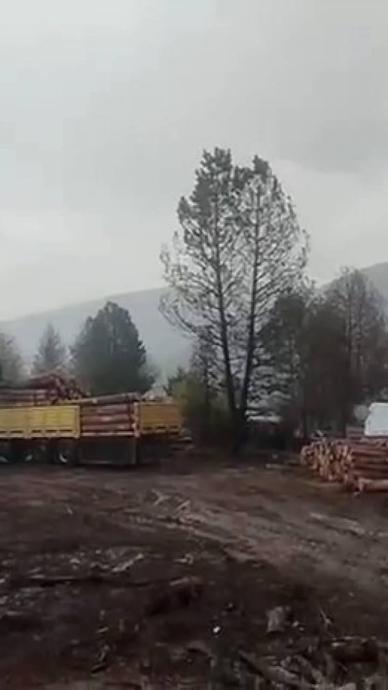 Orman iş&ccedil;ilerinin yakınına yıldırım d&uuml;şt&uuml;