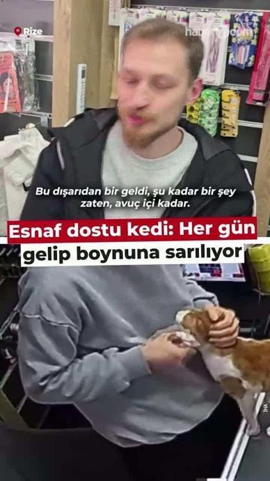 Esnaf dostu kedi: Her g&uuml;n gelip boynuna sarılıyor