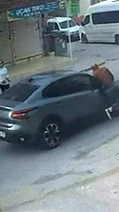 Karşıya ge&ccedil;mek isterken otomobil &ccedil;arptı