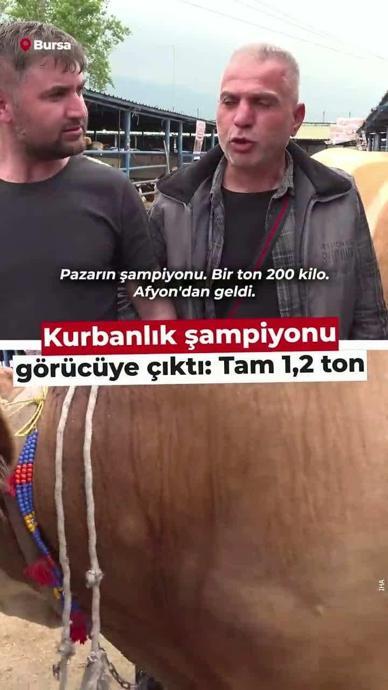 Şampiyon g&ouml;r&uuml;c&uuml;ye &ccedil;ıktı: Tam 1,2 ton