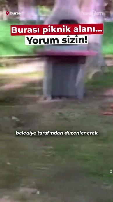 Piknik alanına gelip bu halde bırakıp gittiler...
