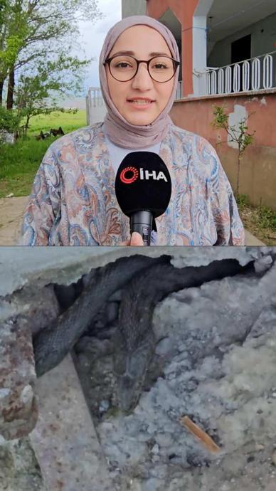 Evi yılanlar sardı!