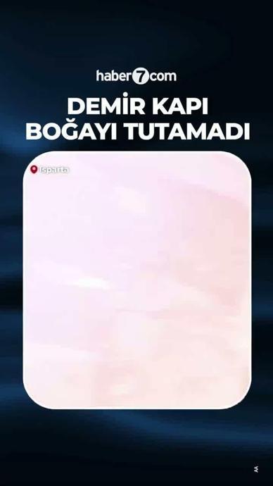 Kurbanlık boğa demir kapıyı kırıp ka&ccedil;tı!