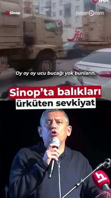 Sinop'ta balıkları &uuml;rk&uuml;ten sevkiyat