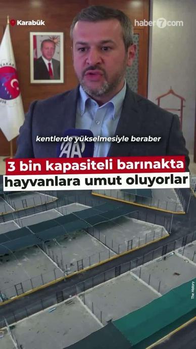 3 bin kapasiteli barınakta umut oluyorlar