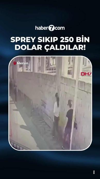 Sprey sıkarak 250 bin dolar &ccedil;aldılar!
