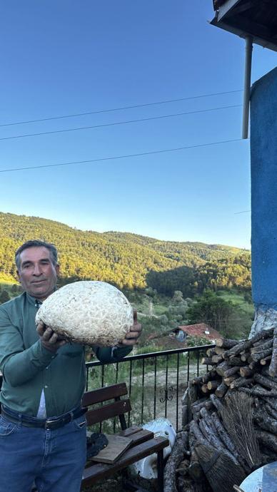 "B&ouml;ylesini hi&ccedil; bulmadım!"