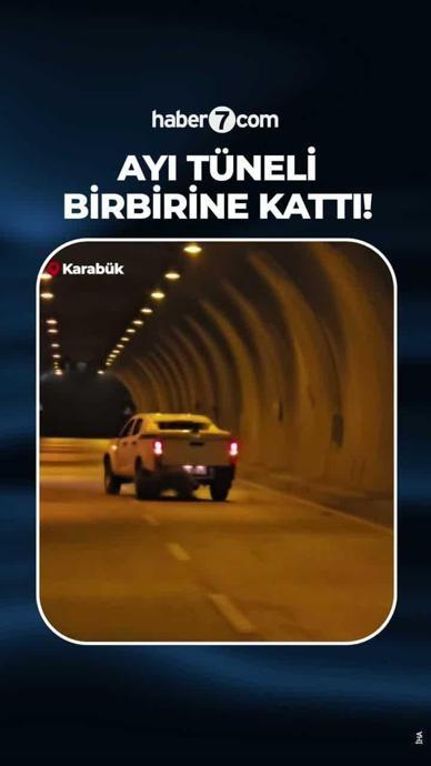 Yaralı ayı, t&uuml;neli birbirine kattı.