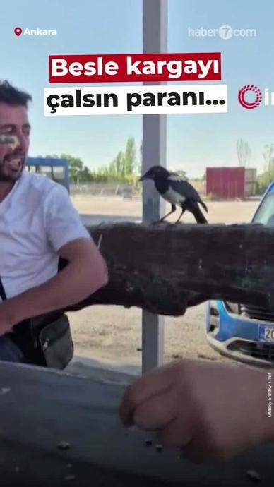 Besle kargayı &ccedil;alsın paranı