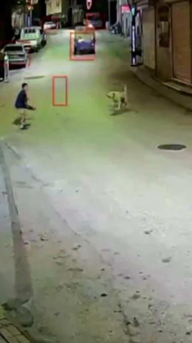 K&uuml;&ccedil;&uuml;k &ccedil;ocuğa başıboş k&ouml;pekler saldırdı!