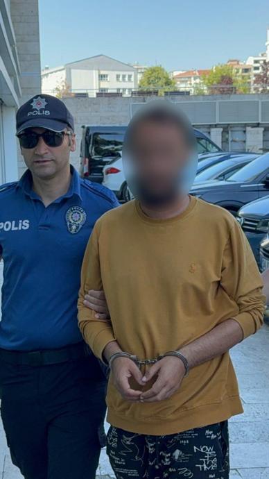 Yoldaki kediye tekme atan şahıs yakalandı!