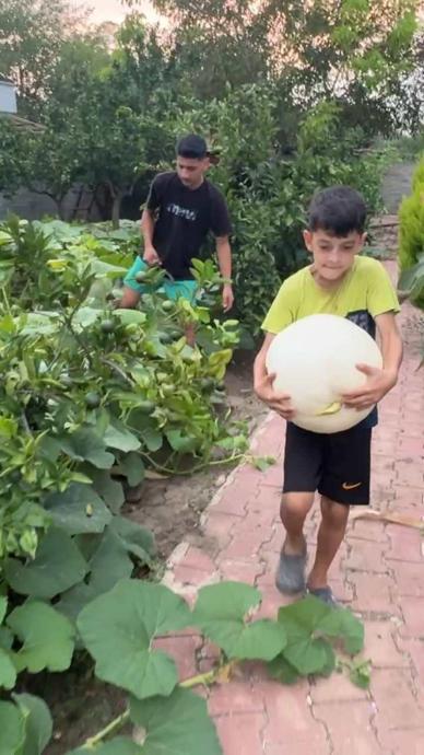 3 k&ouml;k ekti 1 ton &uuml;r&uuml;n hasat etti!